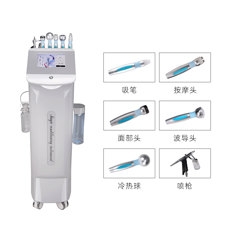 美丽笔记皮肤管理仪小体型大作用六头经典版